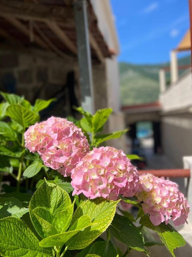 Sea Front 171 Apartman Kotor Kültér fotó