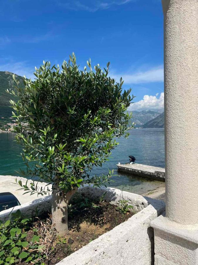 Sea Front 171 Apartman Kotor Kültér fotó